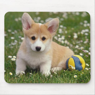 Baby Pembroke Welsh Corgi Puppy Dog Mouse Mat