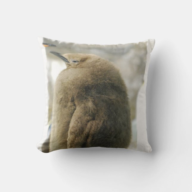 Baby Penguin Pillow (Front)