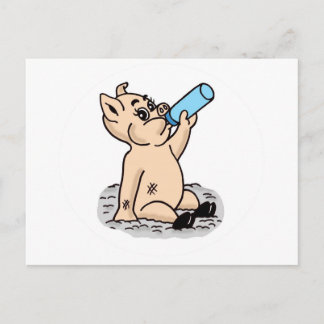 Baby Pig Cartoon Postcard