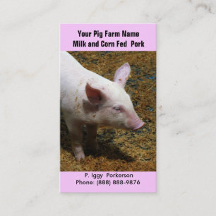 Baby Pig for Pork  Farming Business Card