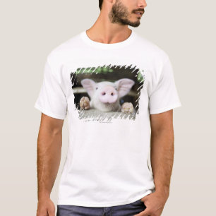 Baby Pig in Pen, Piglet T-Shirt