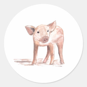 Baby piglet pig art Animal Watercolor Farm Classic Round Sticker