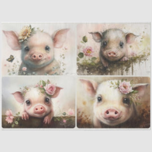 Baby Pigs  Tissue Paper