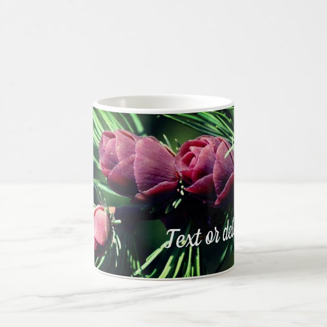 Baby Pine Cones Personalised Coffee Mug (Center)