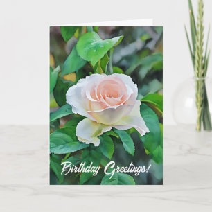 Baby Pink Rose Flower Garden Art Birthday Card