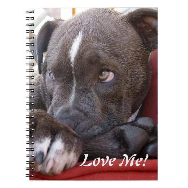 Baby Pitbull Puppies Notebook (Front)