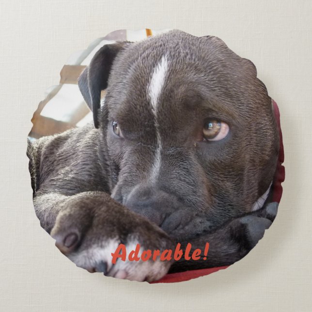 Baby Pitbull Puppy Round Cushion (Front)