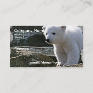 Baby Polar Bear Business Card