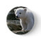Baby Polar Bear Button