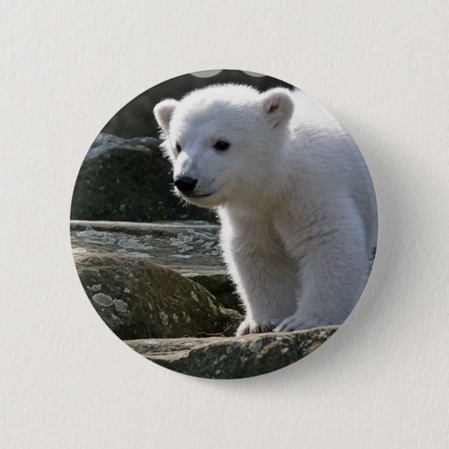 Baby Polar Bear Button (Front)