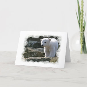 Baby Polar Bear Greeting Card