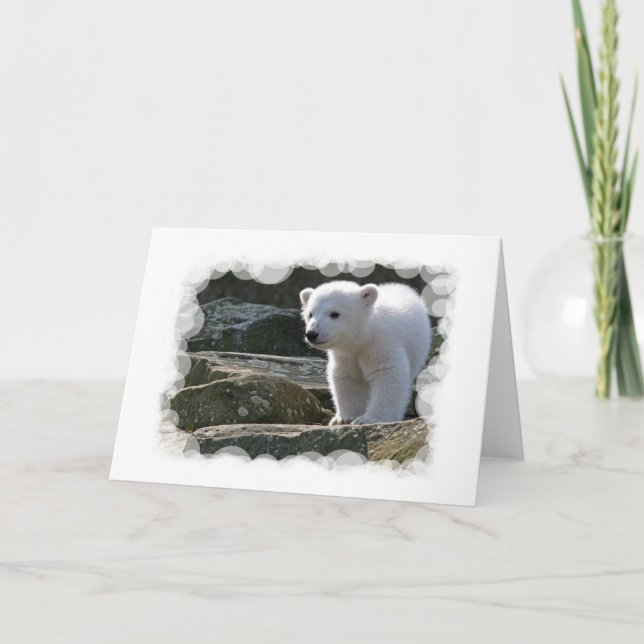 Baby Polar Bear Greeting Card (Front)