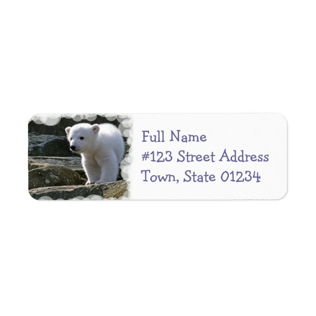 Baby Polar Bear Return Address Label (Front)