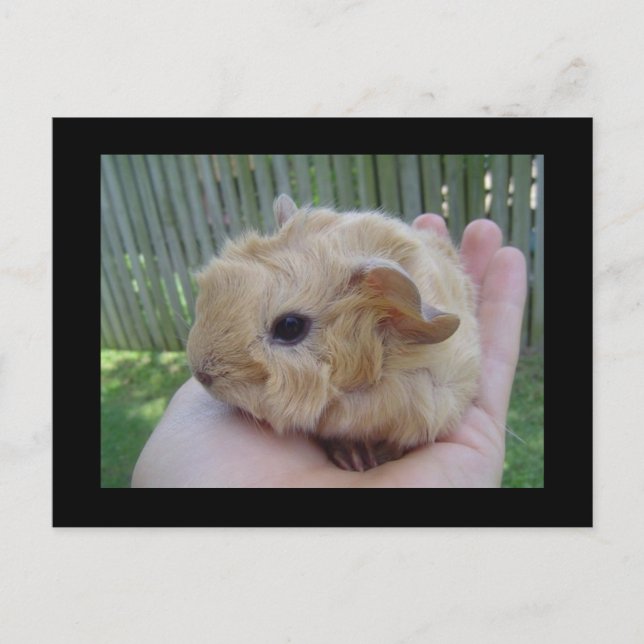 baby postcard (Front)