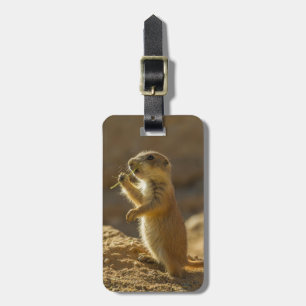 Baby prairie dog eating, Arizona Luggage Tag