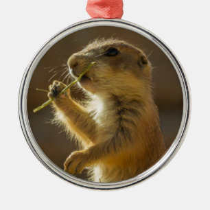 Baby prairie dog eating, Arizona Metal Tree Decoration