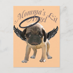 Baby Pug  Angel Postcard