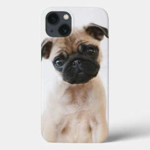 Baby Pug Portrait iPhone 13 Case
