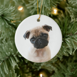 Baby Pug Portrait Ceramic Tree Decoration