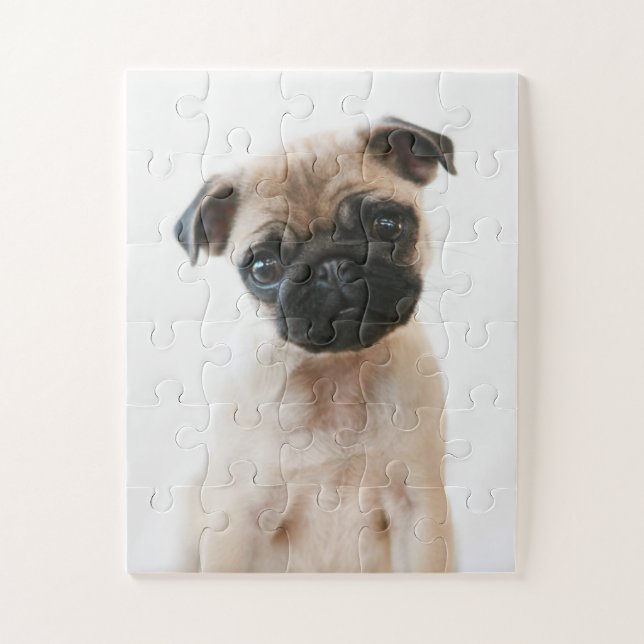 Baby Pug Portrait Jigsaw Puzzle (Vertical)