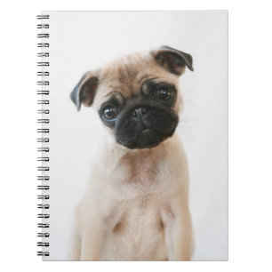 Baby Pug Portrait Notebook