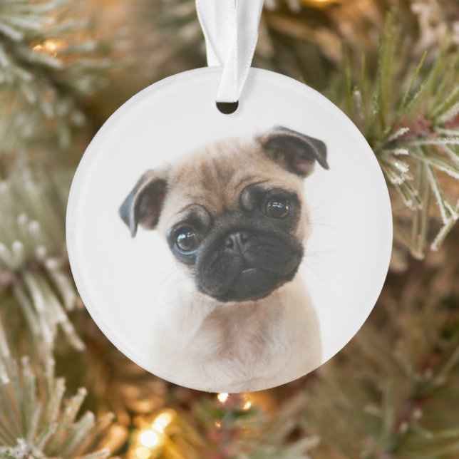 Baby Pug Portrait Ornament (Tree)