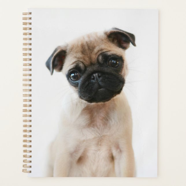 Baby Pug Portrait Planner (Front)