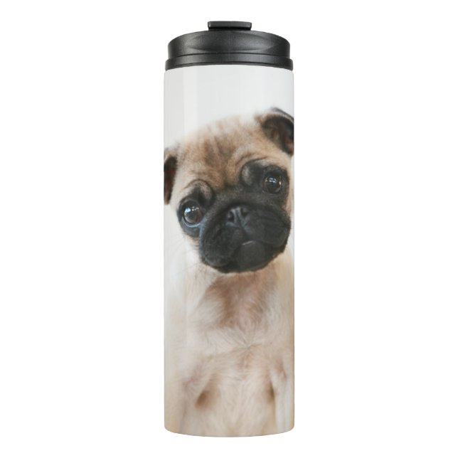 Baby Pug Portrait Thermal Tumbler (Front)