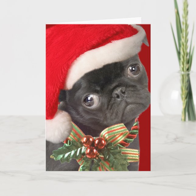 Baby Pug Santa Cards (Front)