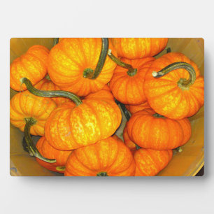 Baby Pumpkin Photo Plaque
