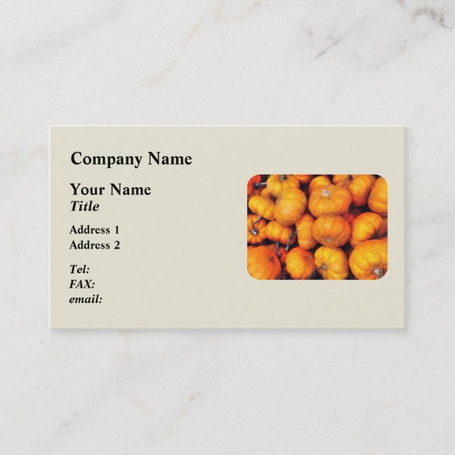 Baby Pumpkins Business Card (Front)