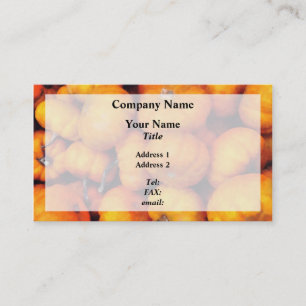 Baby Pumpkins Business Card