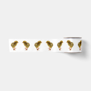 Baby Quail Chick Satin Ribbon