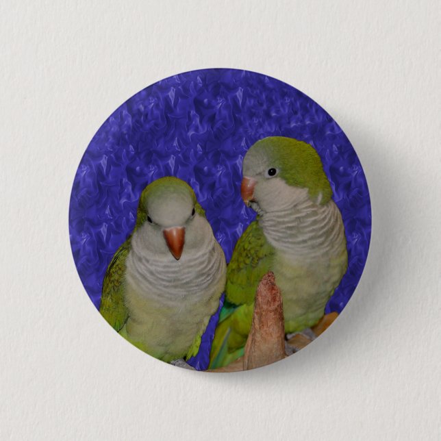 Baby Quaker Parrot Pair Animal Button (Front)