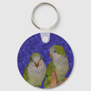 Baby Quaker Parrot Pair Animal Key Ring