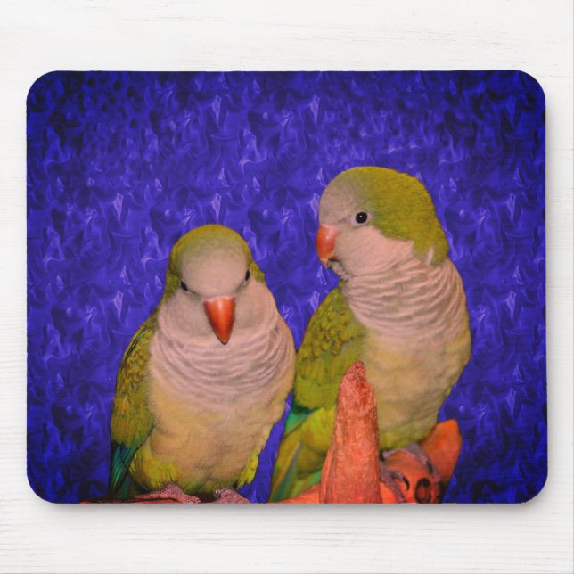 Baby Quaker Parrots Animal  Mouse Mat (Front)
