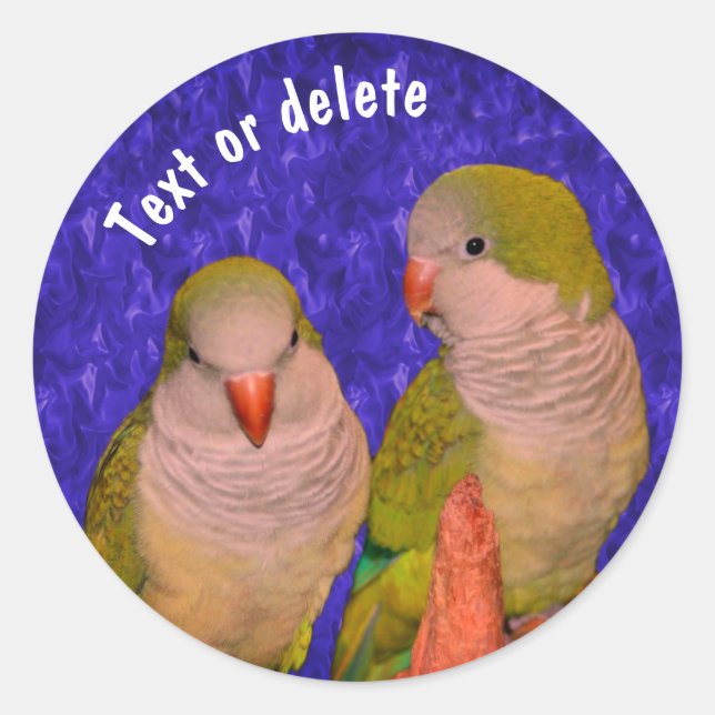 Baby Quaker Parrots Animal Personalised Classic Round Sticker (Front)