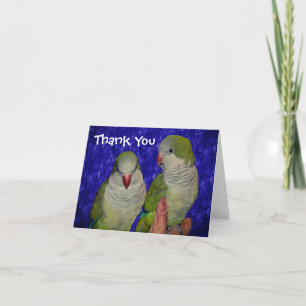 Baby Quaker Parrots Animal Thank You Card