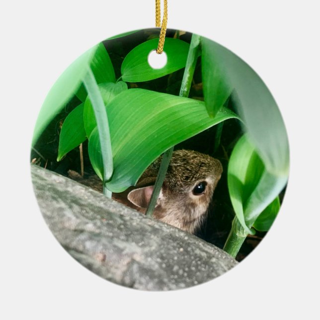 Baby Rabbit Ceramic Tree Decoration (Front)