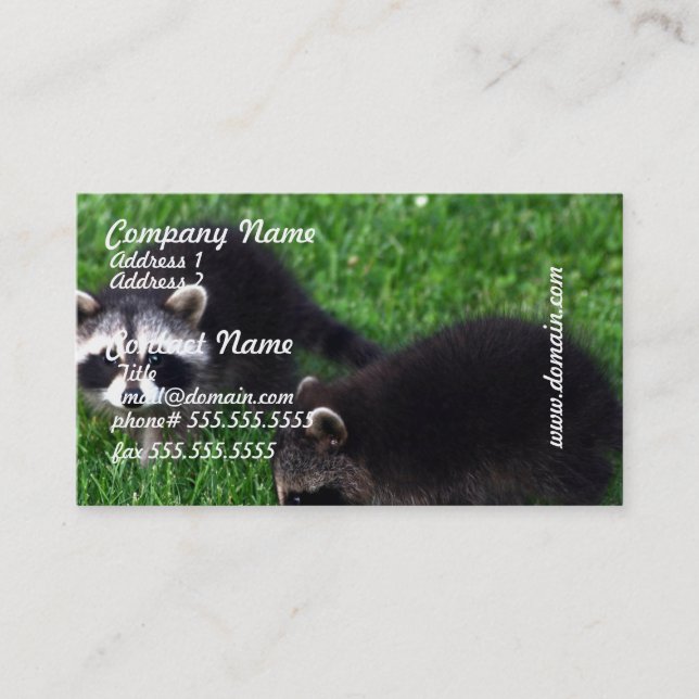 Baby Raccoons Business Cards (Front)
