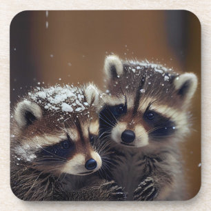 Baby Raccoons Huddle in Falling Snow Coaster