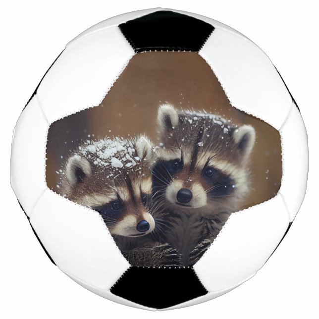 Baby Raccoons Huddle in Falling Snow Football (Front)