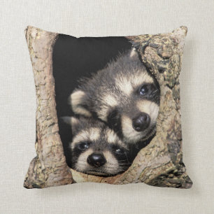 Baby raccoons in tree cavity Procyon Cushion