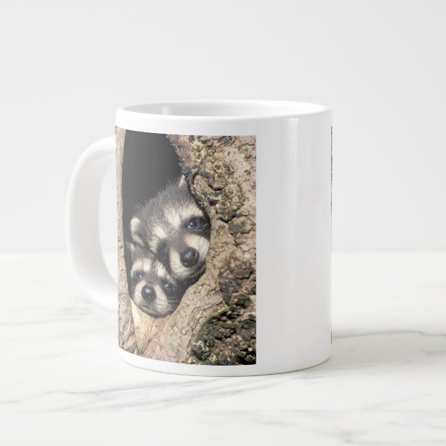 Baby raccoons in tree cavity Procyon Large Coffee Mug (Front Left)