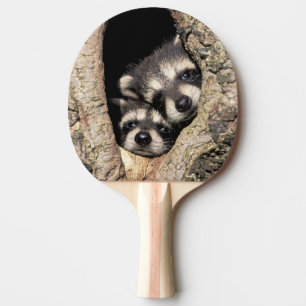 Baby raccoons in tree cavity Procyon Ping Pong Paddle