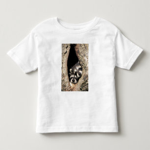 Baby raccoons in tree cavity Procyon Toddler T-Shirt