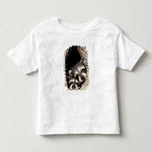 Baby raccoons in tree cavity Procyon Toddler T-Shirt
