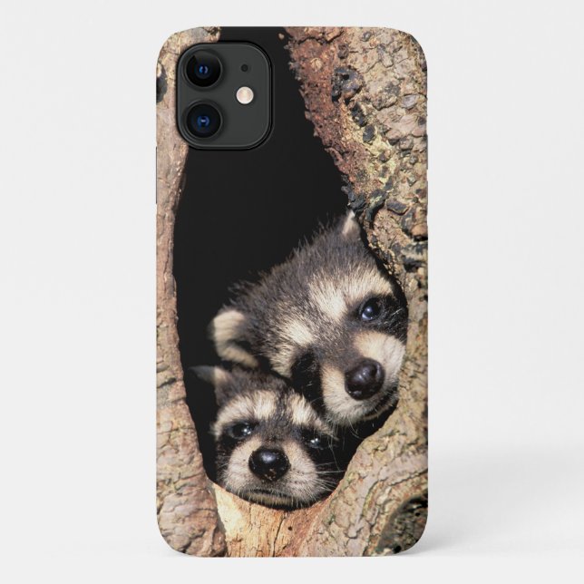 Baby Raccoons Peeking out of Tree Case-Mate iPhone Case (Back)