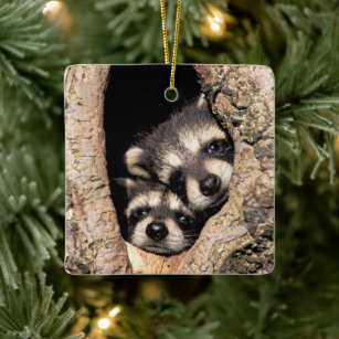 Baby Raccoons Peeking out of Tree Ceramic Ornament
