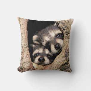 Baby Raccoons Peeking out of Tree Cushion